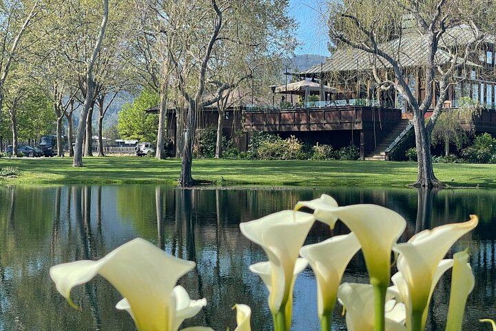 Wine Tour Pros: Privately Driven Napa Wine Tour by Luxury SUV, up to 6 Guests (11/12)