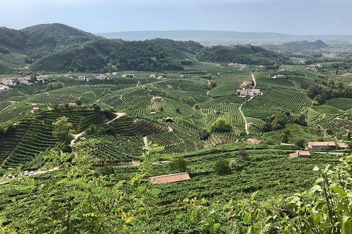 Prosecco Road Wine and Food Day from Spresiano Station: Small Producers and Soppressa (10/12)