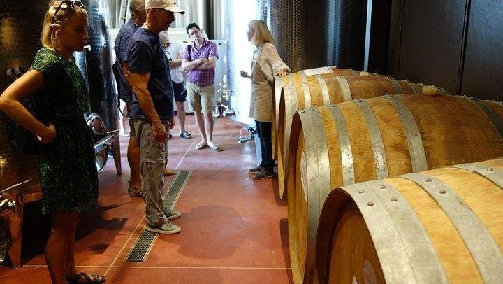 Small Family Vineyard at Sovestro near San Gimignano: Cellar Visit, Lunch, Four Wines (3/8)