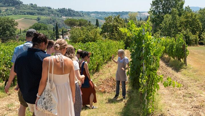 Small Family Vineyard at Sovestro near San Gimignano: Cellar Visit, Lunch, Four Wines (1/8)