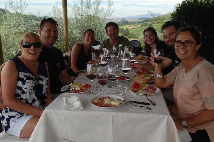 Small Family Vineyard at Sovestro near San Gimignano: Cellar Visit, Lunch, Four Wines (2/8)