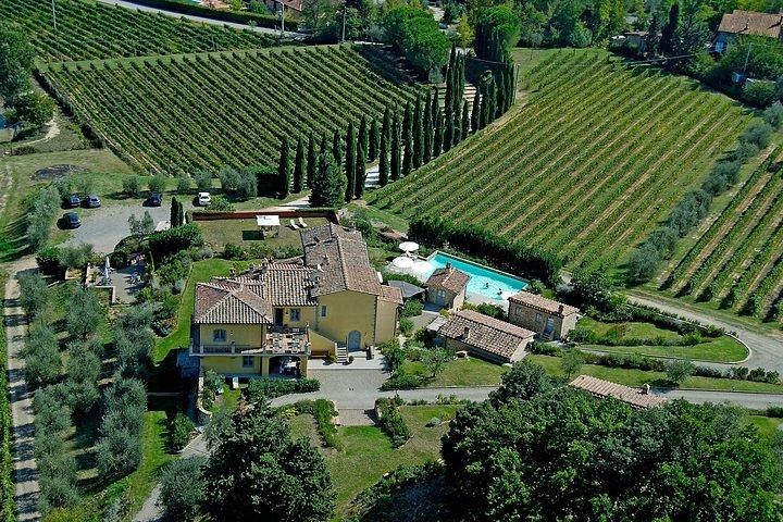 Small Family Vineyard at Sovestro near San Gimignano: Cellar Visit, Lunch, Four Wines (5/8)