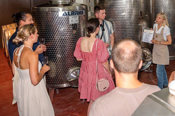 Small Family Vineyard at Sovestro near San Gimignano: Cellar Visit, Lunch, Four Wines (8/8)