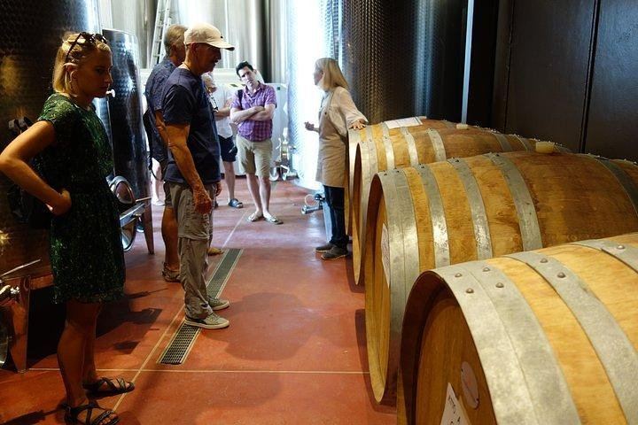 Small Family Vineyard at Sovestro near San Gimignano: Cellar Visit, Lunch, Four Wines (3/8)