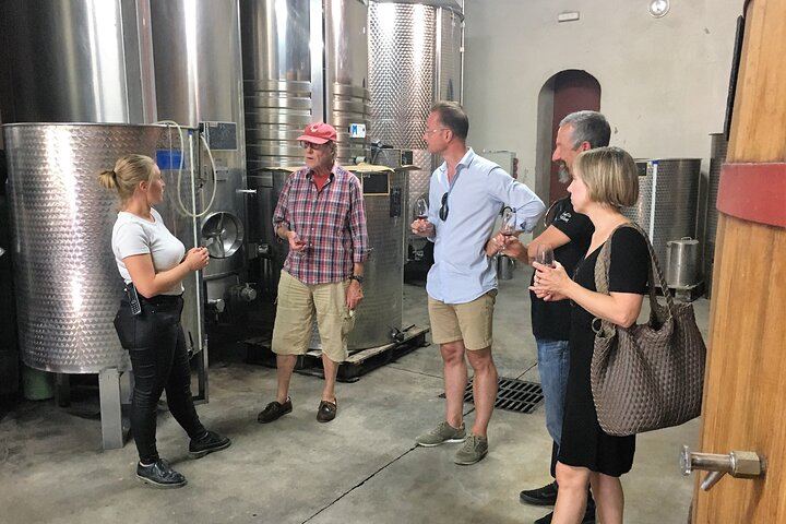 Private Full-Day Provence Wine Tour with Hotel Pickup from Marseille, Aix or Avignon (4/10)