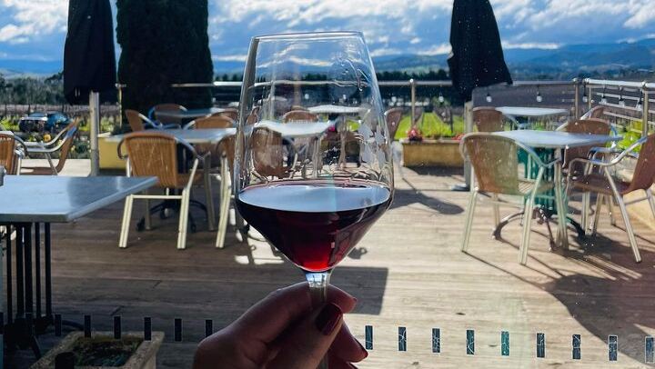 Small-Group Yarra Valley Wine Tour from Richmond with Tokar Estate, Soumah and Lunch (4/10)