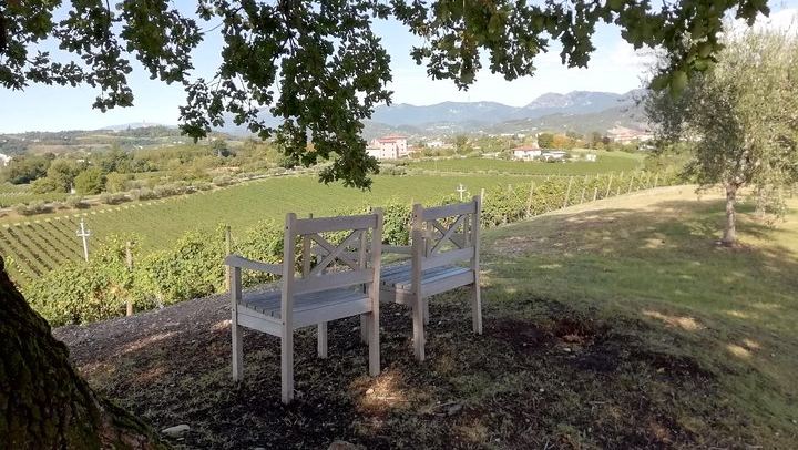 Venice Piazzale Roma 9 AM Departure: Prosecco Valdobbiadene DOCG at a Family Vineyard (1/12)