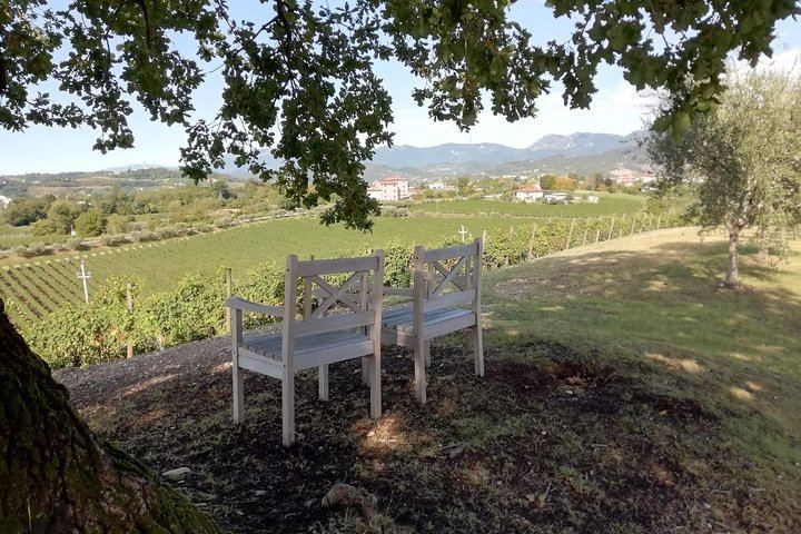 Venice Piazzale Roma 9 AM Departure: Prosecco Valdobbiadene DOCG at a Family Vineyard (1/12)