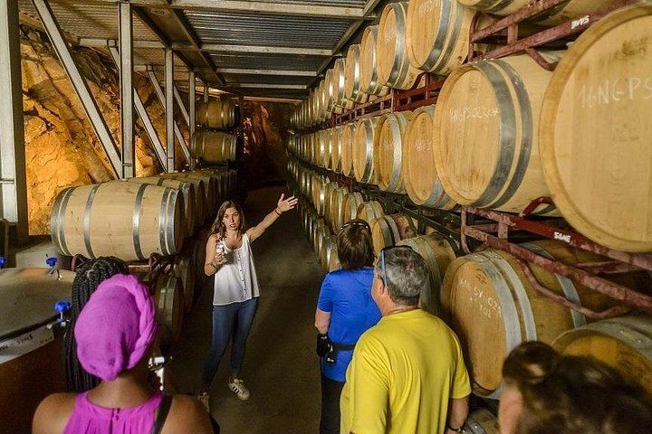 Private Barcelona Coast E-Bike Ride to an Alella Winery, with Wines and Lunch (8/12)