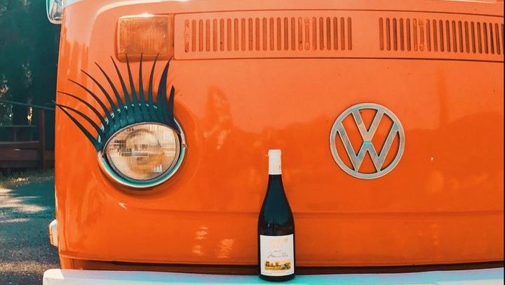 Painted Ladies Vintage VW Bus Sonoma Wine Tour with Wine Cave and Lunch (1/12)