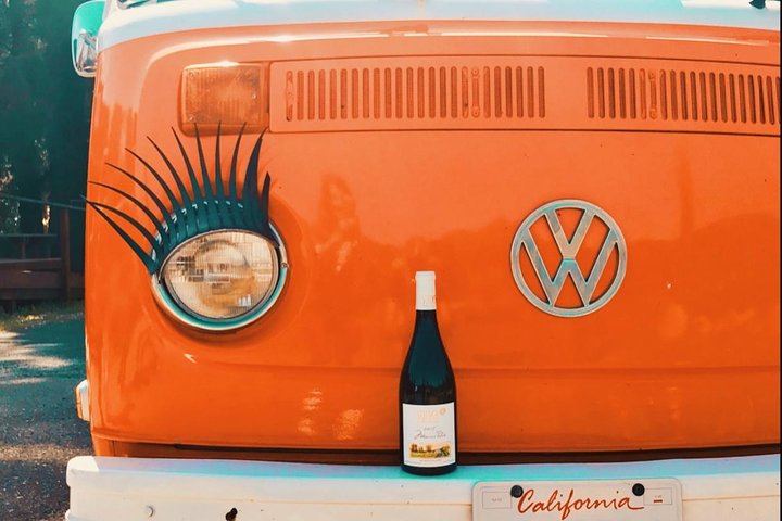 Painted Ladies Vintage VW Bus Sonoma Wine Tour with Wine Cave and Lunch (1/12)