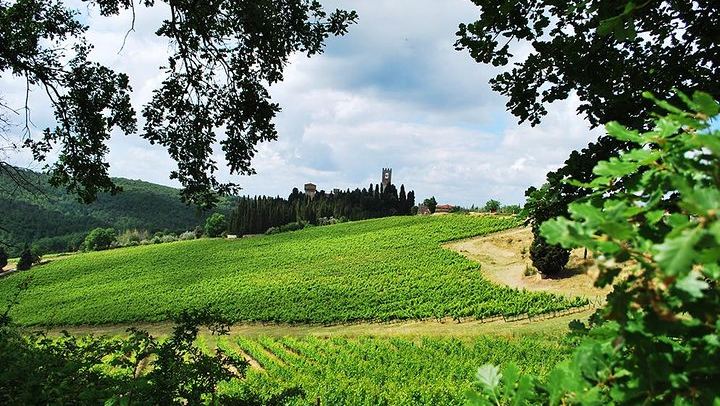 Private San Gimignano and Chianti Classico Wine and Food Day from Florence by Mercedes (1/12)