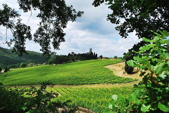 Private San Gimignano and Chianti Classico Wine and Food Day from Florence by Mercedes (1/12)