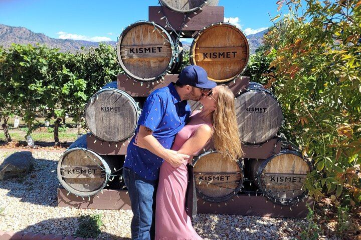 Osoyoos and Oliver Half-Day Wine Tour with Sip Happens, Tastings and Gratuity Included (5/12)