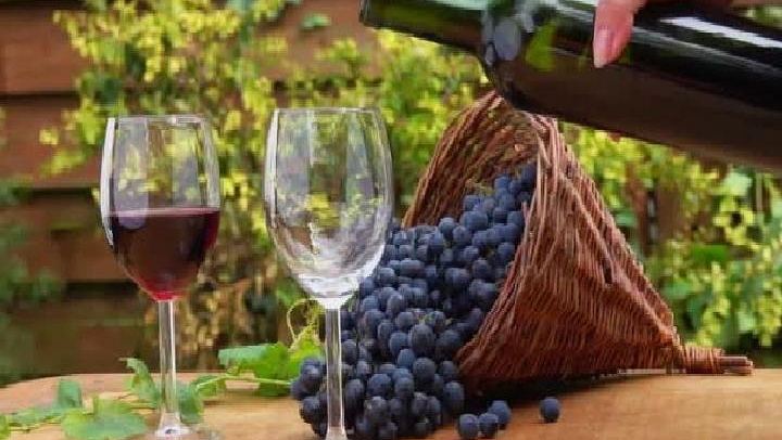 Private Mendoza Wine Day: Three Wineries and a Lunch Stop in Maipú, Luján or Uco Valley