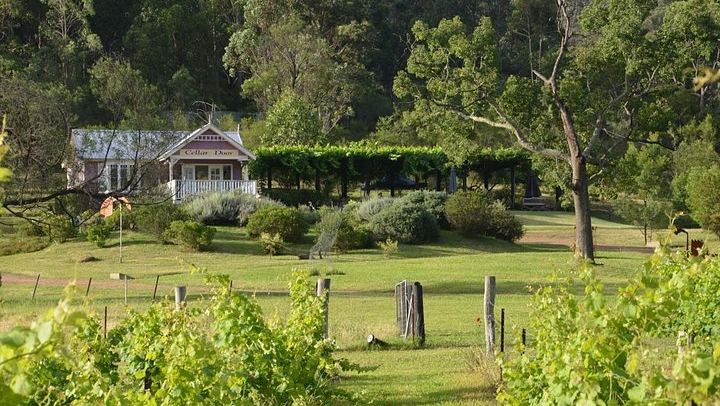 Chef-Led Hunter Valley Food and Wine Day Tour from Sydney with Mobile Kitchen Lunch (4/7)