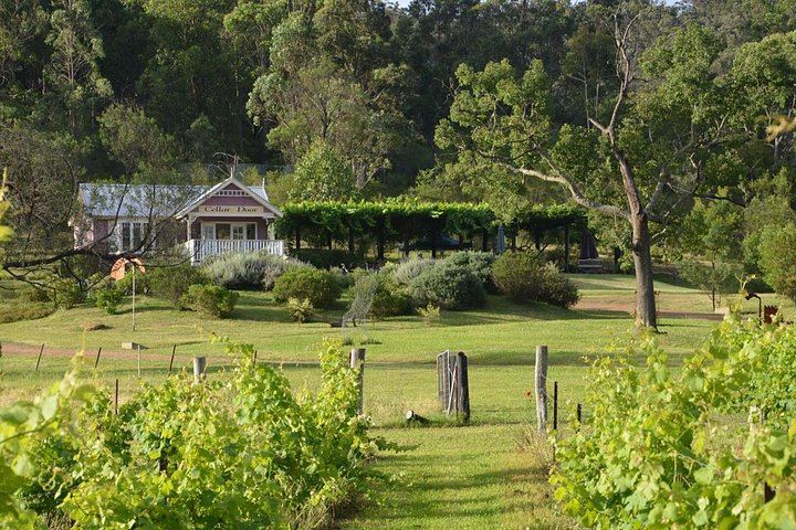 Chef-Led Hunter Valley Food and Wine Day Tour from Sydney with Mobile Kitchen Lunch (4/7)