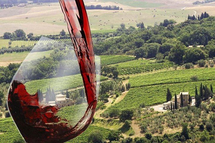Private Day from Florence: Brunello in Montalcino and Vino Nobile in Montepulciano (1/12)