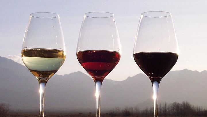 Private Full-Day Douro Tour from Porto: Roeda, Casal de Loivos, Pinhão Lunch, D'Origem (2/12)