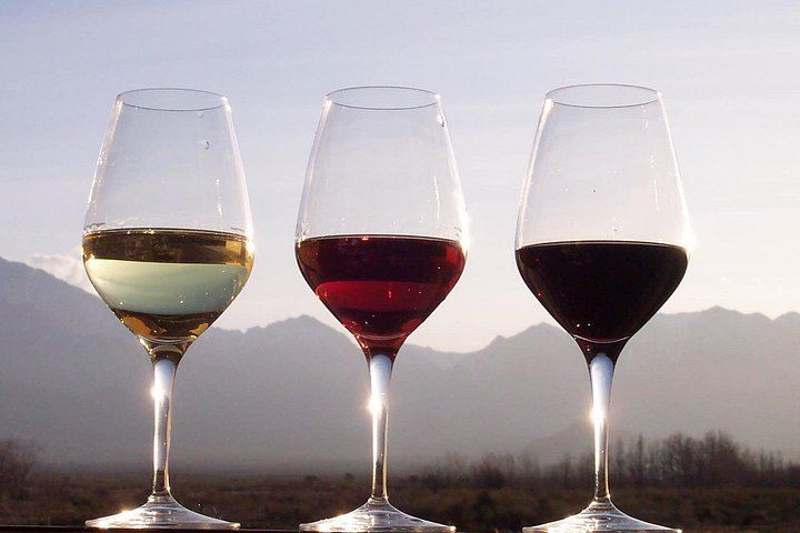 Private Full-Day Douro Tour from Porto: Roeda, Casal de Loivos, Pinhão Lunch, D'Origem (2/12)