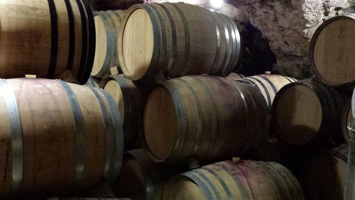 Small-Group Half-Day Wine Tour from Avignon via Gigondas and Châteauneuf-du-Pape (2/4)