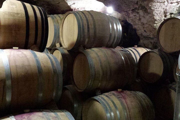 Small-Group Half-Day Wine Tour from Avignon via Gigondas and Châteauneuf-du-Pape (2/4)