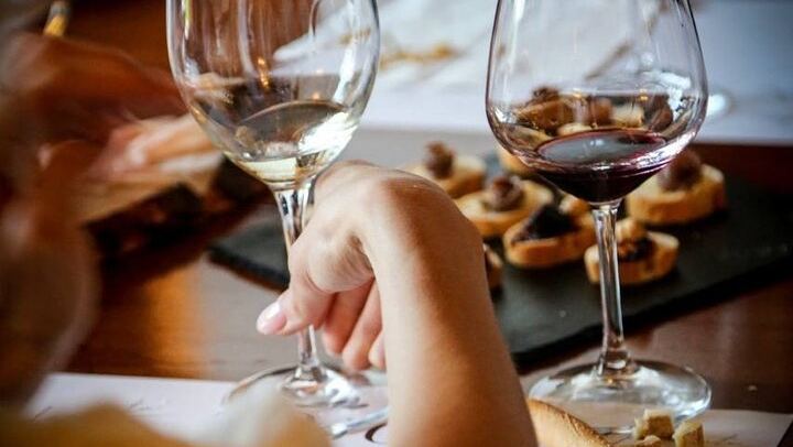TOJO Family Winery in Santo Stefano Belbo: Pavese Hills Walk and Five-Wine Tasting (2/5)