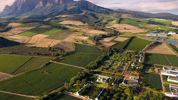 Private Full-Day Winelands Tour: Fairview, Plaisir de Merle, Franschhoek Lunch and Muratie (2/12)