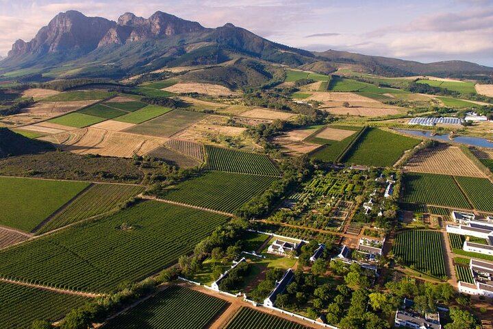 Private Full-Day Winelands Tour: Fairview, Plaisir de Merle, Franschhoek Lunch and Muratie (2/12)