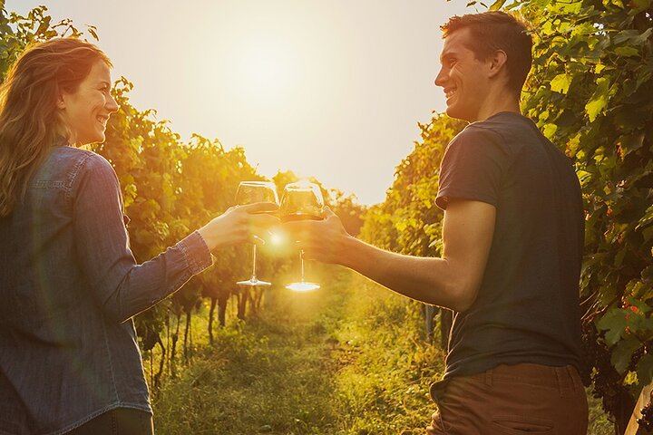 Private Full-Day Winelands Tour: Fairview, Plaisir de Merle, Franschhoek Lunch and Muratie (8/12)