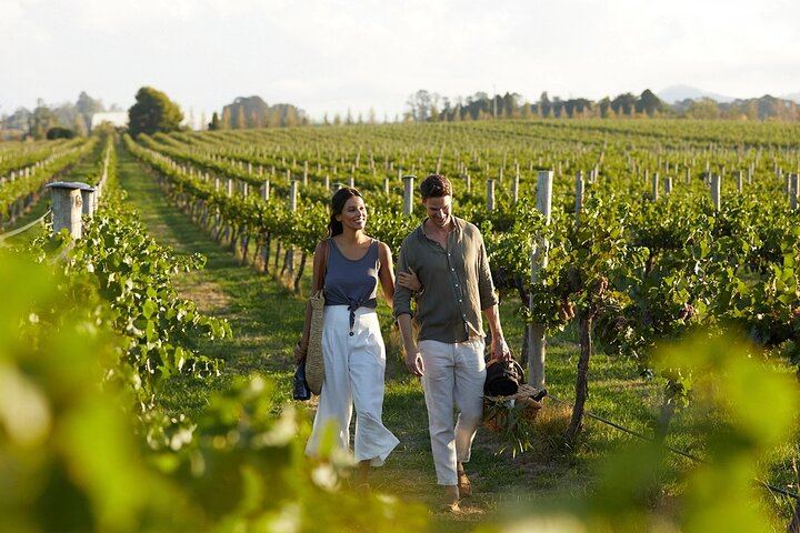 Private Full-Day Winelands Tour: Fairview, Plaisir de Merle, Franschhoek Lunch and Muratie (7/12)