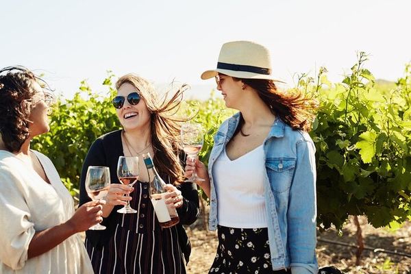 Private Full-Day Winelands Tour: Fairview, Plaisir de Merle, Franschhoek Lunch and Muratie