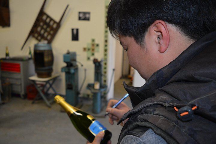 Paris Wine Day Tours Champagne Day Trip: Mumm Cellars, Hautvillers and Three Houses (6/10)