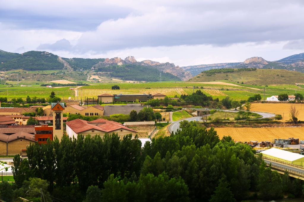 Bodega buildings and vineyards beside the town of Haro in La Rioja, with mountains behind