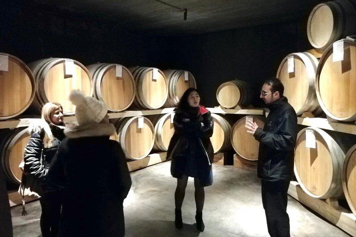 Small-Group Day from Taormina: Castiglione di Sicilia and Two Etna Wineries with Lunch (5/7)
