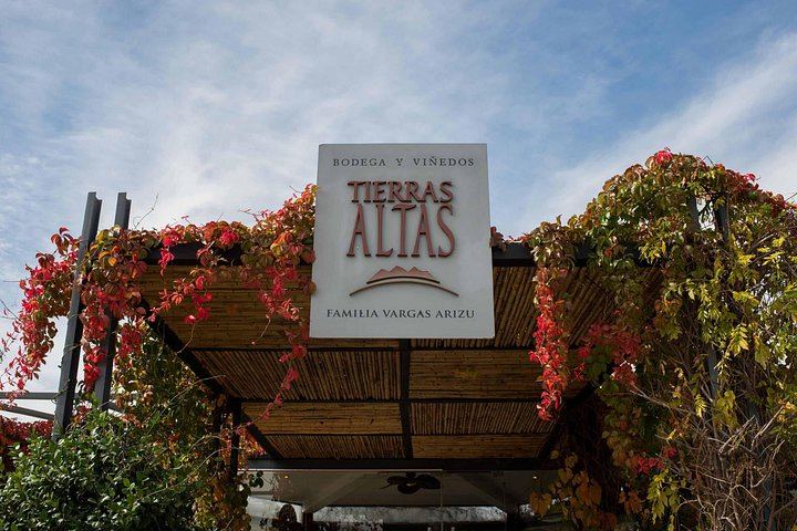 Malbec Experience at Bodega Tierras Altas, Luján de Cuyo: Vineyards and Barrel Tasting (1/5)
