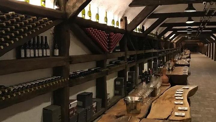 Private Full-Day Kakheti Wine Tour: Okros Organic Winery, Family Lunch and Khareba Tunnel (3/12)