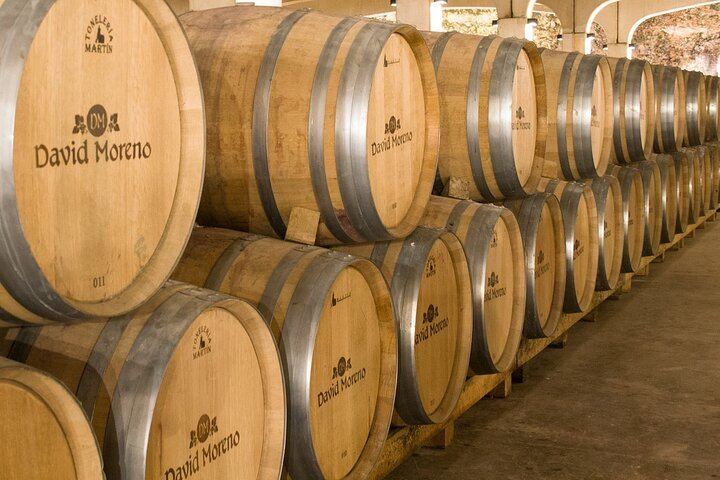 Private Rioja Wine Day from San Sebastian: Two to Three Wineries, Three-Course Lunch (9/12)