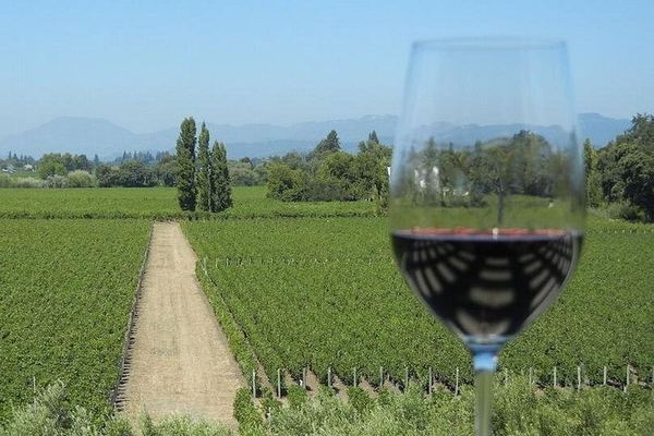 Half-Day Sonoma Wine Tour from San Francisco Hotels with Two Tastings and Sonoma Plaza
