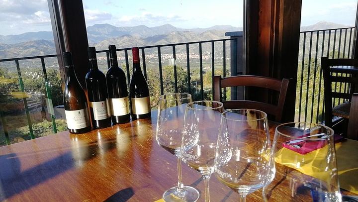 Gambino Winery Tasting on Etna from Taormina: Four Wines and a Sicilian Aperitif (1/12)