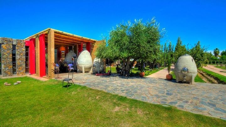 Private Mendoza Day: El Enemigo Winery and Angélica Cocina Maestra Lunch (2/8)