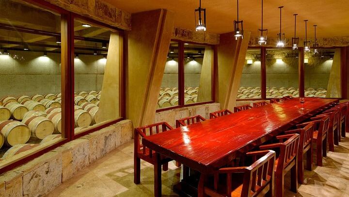 Private Mendoza Day: El Enemigo Winery and Angélica Cocina Maestra Lunch (1/8)