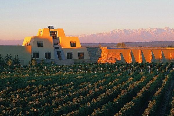 Private Mendoza Day: El Enemigo Winery and Angélica Cocina Maestra Lunch
