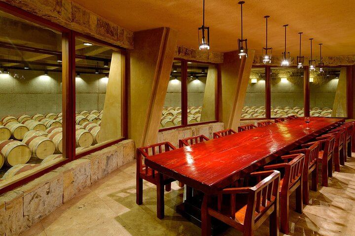 Private Mendoza Day: El Enemigo Winery and Angélica Cocina Maestra Lunch (1/8)