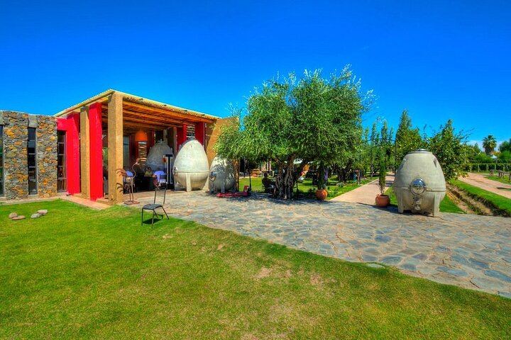 Private Mendoza Day: El Enemigo Winery and Angélica Cocina Maestra Lunch (2/8)