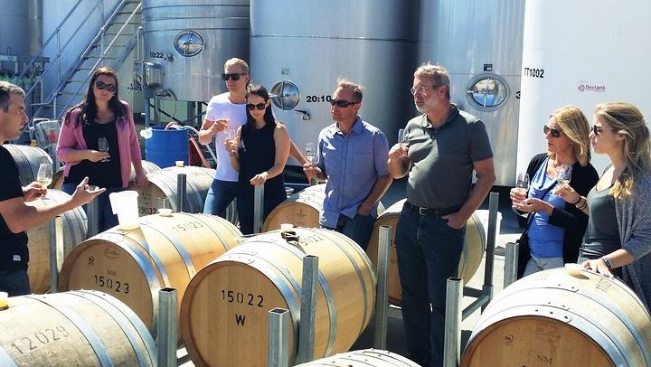 Full-Day Marlborough Winemakers Tour: 4-6 Family-Owned Cellar Doors, Local Guide (1/9)