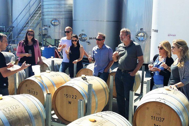 Full-Day Marlborough Winemakers Tour: 4-6 Family-Owned Cellar Doors, Local Guide (1/9)