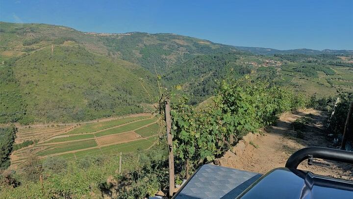 Lamego Wine Cellar Museum Visit at Quinta da Portela de Baixo with Port Tasting (3/5)