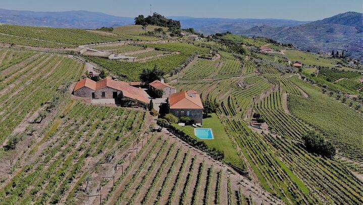 Lamego Wine Cellar Museum Visit at Quinta da Portela de Baixo with Port Tasting (4/5)