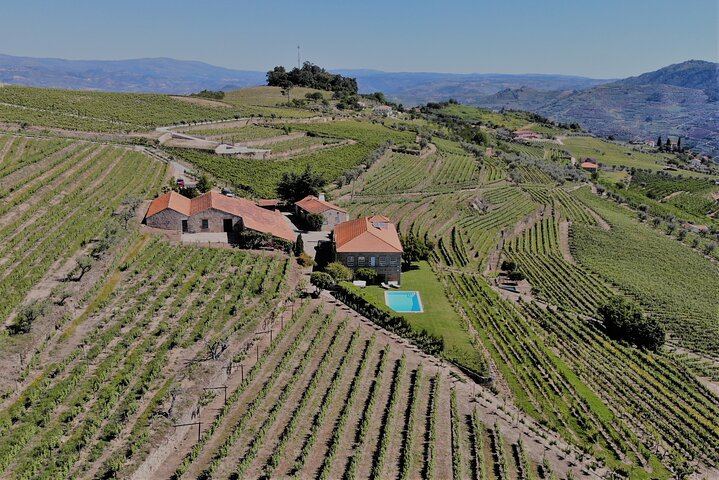 Lamego Wine Cellar Museum Visit at Quinta da Portela de Baixo with Port Tasting (4/5)